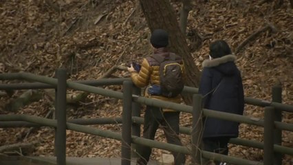 [날씨] '우수' 추위 주춤, 곳곳 눈비...건조 특보 속 산불 비상 / YTN