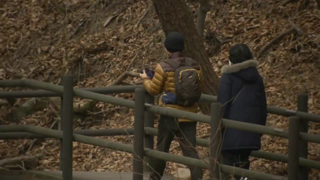 [날씨] '우수' 추위 주춤, 곳곳 눈비...건조 특보 속 산불 비상 / YTN