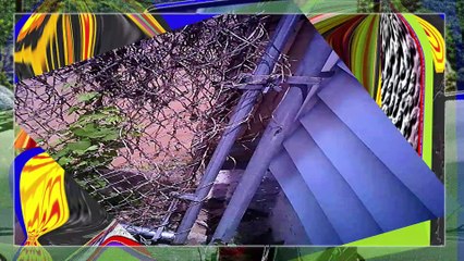 Mailing letter l Going 2 store l PowerDirector