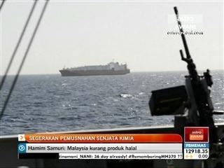 Segerakan pemusnahan senjata kimia