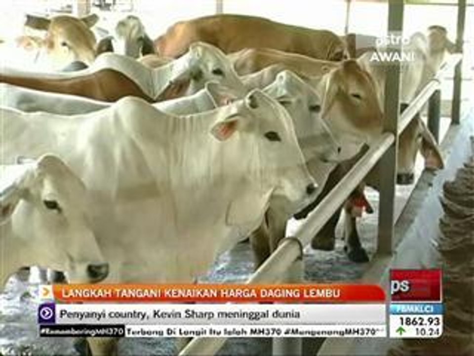 Langkah tangani kenaikan harga daging lembu