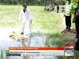 Mayat reput ditemui di sawah padi