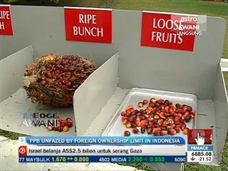 PPB unfazed by foreign ownership limit in Indonesia plantations