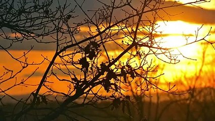 कविता-जो इश्क मेरा झलक रहा है