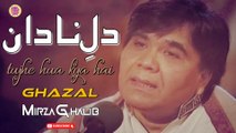 Dil e Nadaan Tujhe Hua Kya Hai | Ali Raza | Ghazal | Mirza Ghalib | Virsa Heritage Revived