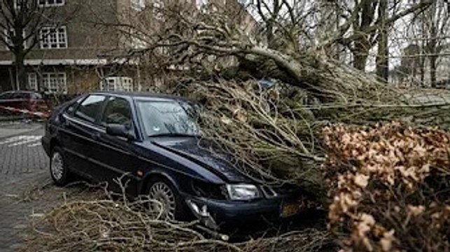 Tempête Eunice : Huit morts et plusieurs blessés, voici les dégâts de la tempête en Europe