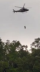 Veja resgate de idoso em mangue de Florianópolis