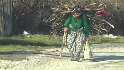 85 yaşındaki Hörü Özer, evlat ve eş acısını unutmak için odun topluyor
