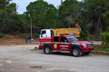 Ormanlık alanda yasa dışı ağaç kesimi yapan şüpheli aranıyor