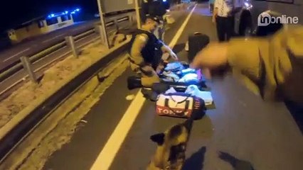 Cão Nino encontra maconha na mala de mulher em ônibus; Veja