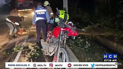 ¡Gravemente herido motociclista tras impactar con árbol en la CA-5!