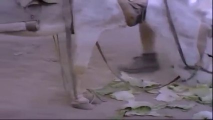 أفضل مشاهد فيلم المتسول 🎬| لحظة مؤثرة من حياة حسنين البرطوشي