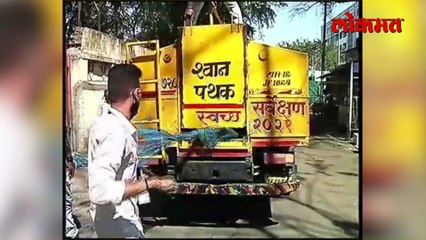 सत्ताधारी भाजपकडून 'कुत्र्यांवर' मोक्कार खर्च, पाहा काय केलं?