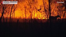 بدون تعليق: حرائق الغابات تخرج عن السيطرة في الأرجنتين