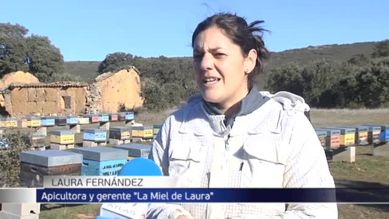 La apicultura, la crianza de abejas y la producción de miel están cada vez más en auge