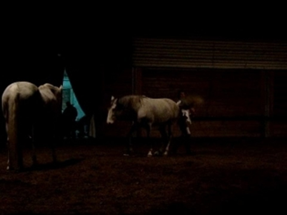 Spectacle Jean-François Pignon à Wattrelos