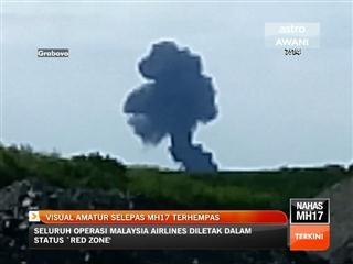 Visual amatur selepas MH17 terhempas