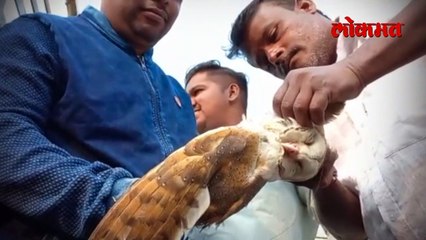 या शेतकऱ्यांचं तुम्हीही कौतुक कराल...