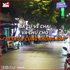 Bà cụ ve chai trên phố đi bộ và chú chó: 20 triệu cũng không bán