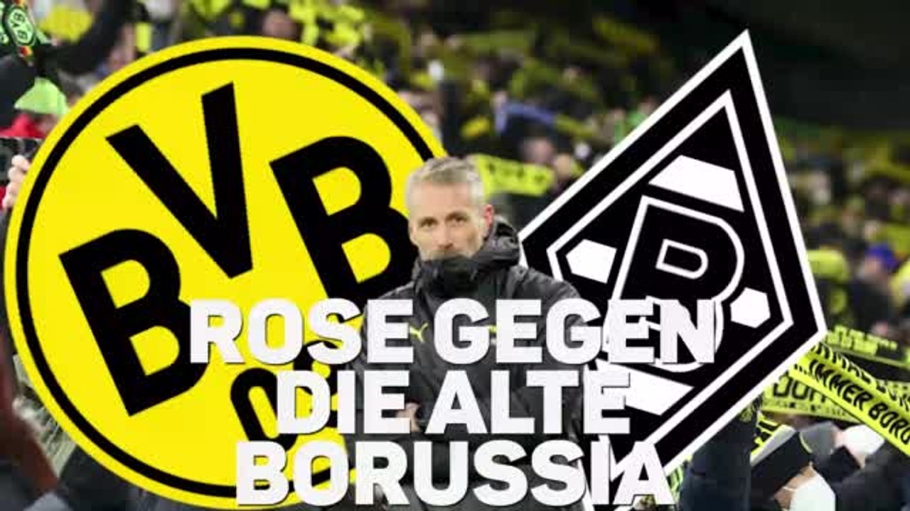 Rose gegen die alte Borussia