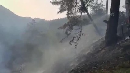 Osmaniye'de çıkan orman yangını söndürüldü