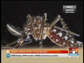 Denggi: Perlis catat 10 kes baharu