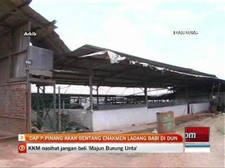 DAP Pulau Pinang akan bentang enakmen ladang babi di DUN