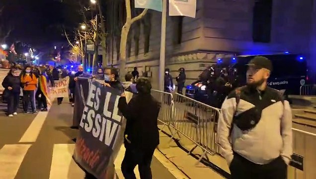 guillem ramos - manifestacio barcelona pablo hasel