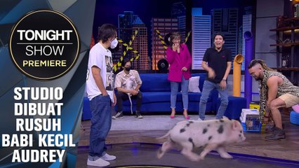 Studio Rasa Kebun Binatang Penuh Peliharaan Audrey "King Of Jungle"