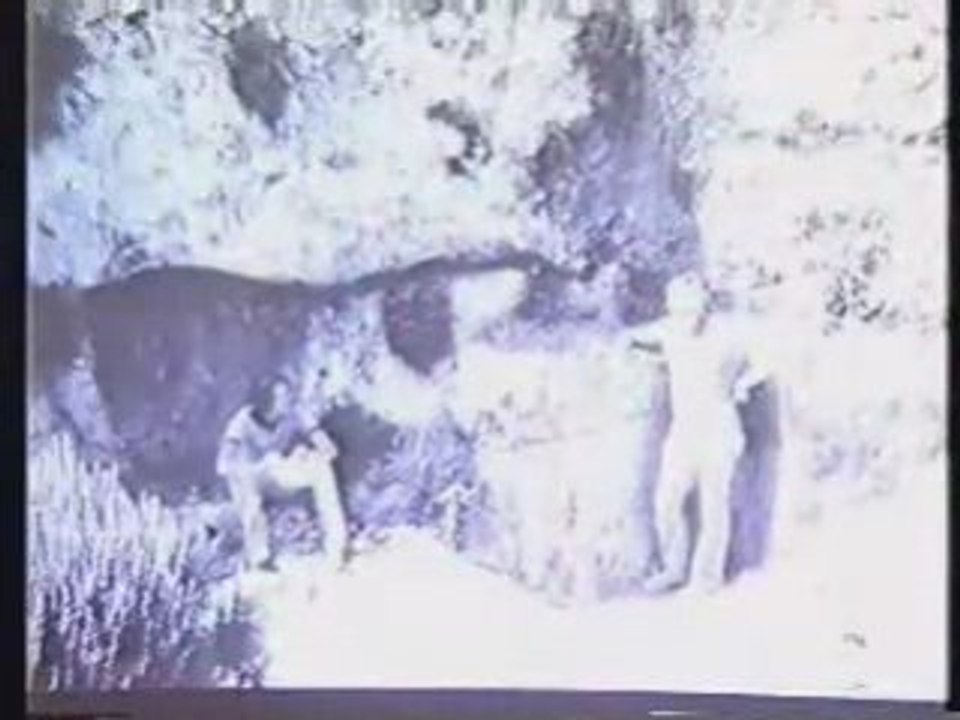 DRY BLOOD OF JESUS DISCOVERY? - Allan Rich vdos