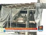 18 ladang babi tidak patuh syarat sisa kumbahan ladang