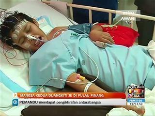 Mangsa kedua dijangkiti JE di Pulau Pinang