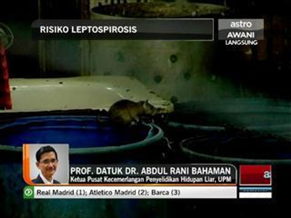 Risiko Leptospirosis