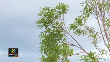 tn7-domingo-de-fuertes-vientos-190222