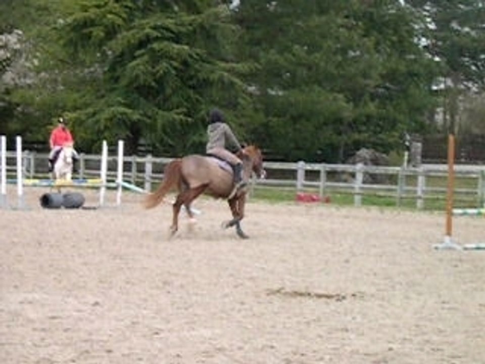 DSCN0026