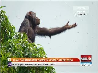 Alami Taman Negara Gombe di Google Street View