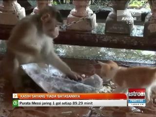 Kasih sayang tiada batasannya