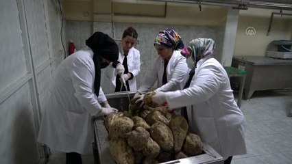 Ev hanımlarının kurduğu "Anadolu Bacıları" kooperatifi ülke ekonomisine katkı sağlıyor