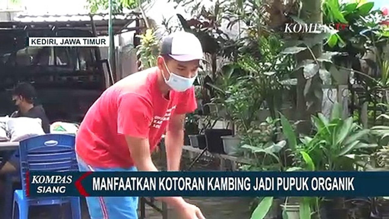 Pemuda Asal Kediri Buat Pupuk Organik dari Kotoran Kambing dan Bagikan ke Petani secara Gratis!