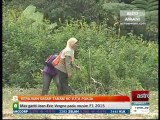 Kerajaan sasar tanam 80 juta pokok