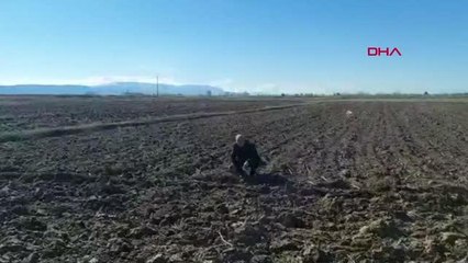 TARLADA BULDUĞU TAŞLARA 'METEORİT OLABİLİR' RAPORU VERİLDİ