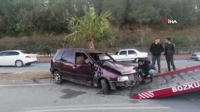 Kontrolden çıkan araç palmiye ağacına çarparak durabildi