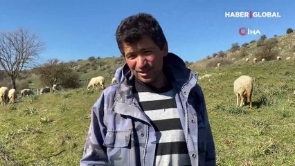 Çobanlık yaparak 1000 dönümlük arazi satın aldı
