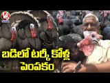 Farmer Earns Profit From Turkey Poultry | Turkey Poultry Farming | V6 News