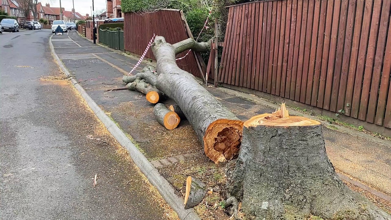 Storm damage in Shrewsbury Crescent, Sunderland, on Saturday, February