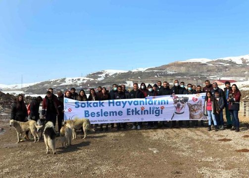Van'da sokak hayvanları için besleme etkinliği