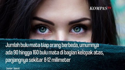 Kini Ku Tahu Fakta Baru di Balik Bulu Mata