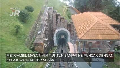 #AWANIJr: Flora dan fauna di Bukit Bendera