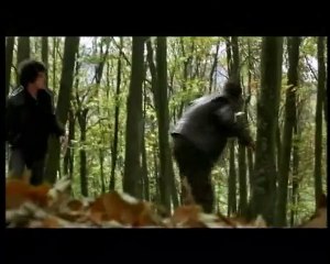 Frío Sol de Invierno Tráiler