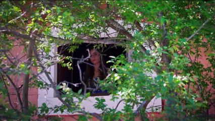 Nido De Víboras Capítulo 2 en Español